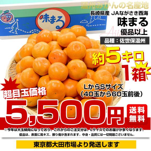 長崎県 JAながさき西海 味まる「品種：佐世保温州」LからSサイズ 優品以上 約5キロ(40玉から60玉前後）送料無料 ミカン 蜜柑03