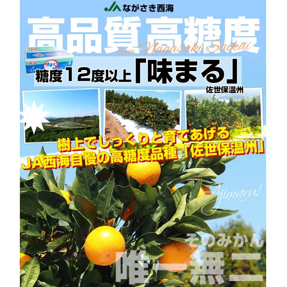 長崎県 JAながさき西海 味まる「品種：佐世保温州」LからSサイズ 優品以上 約5キロ(40玉から60玉前後）送料無料 ミカン 蜜柑04