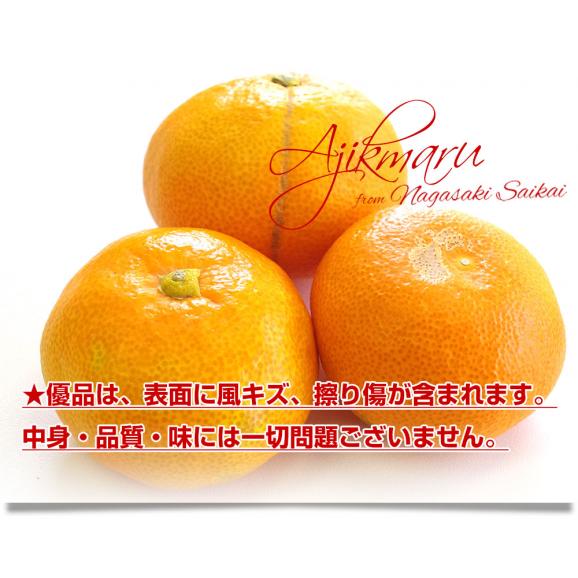 長崎県 JAながさき西海 味まる「品種：佐世保温州」LからSサイズ 優品以上 約5キロ(40玉から60玉前後）送料無料 ミカン 蜜柑05