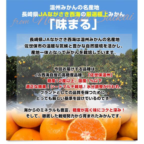 長崎県 JAながさき西海 味まる「品種：佐世保温州」LからSサイズ 優品以上 約5キロ(40玉から60玉前後）送料無料 ミカン 蜜柑06