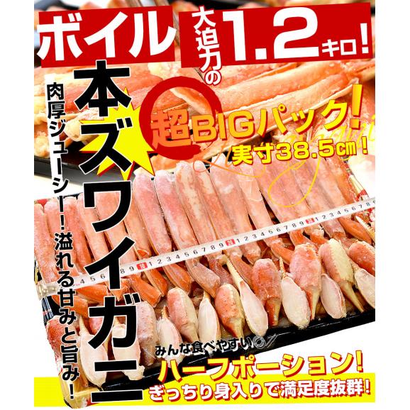 北海道より直送 北海道加工 「ボイル本ズワイガニ・ハーフポーション」 総重量1.2キロ 送料無料 ズワイ ズワイ蟹 かに カニ脚 蟹 ギフト03