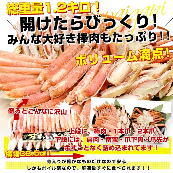 北海道より直送 北海道加工 「ボイル本ズワイガニ・ハーフポーション」 総重量1.2キロ 送料無料 ズワイ ズワイ蟹 かに カニ脚 蟹 ギフト05