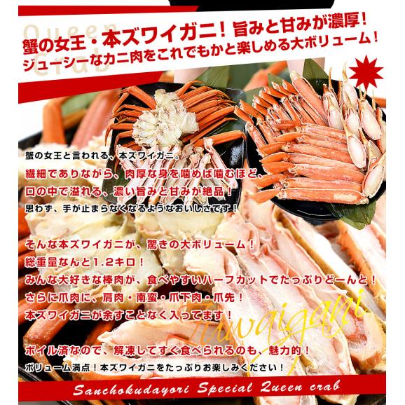北海道より直送 北海道加工 「ボイル本ズワイガニ・ハーフポーション」 総重量1.2キロ 送料無料 ズワイ ズワイ蟹 かに カニ脚 蟹 ギフト06