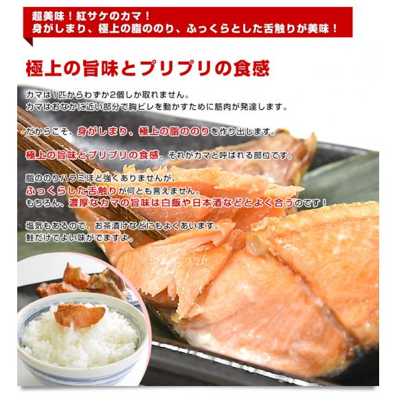 北海道から直送 北海道加工 紅鮭カマ 500g 送料無料 サケ さけ 肉厚 鮭 サーモン05