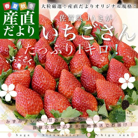 女の子向けプレゼント集結 佐賀県より産地直送 JAさが いちごさん 大粒 4L秀品又は4LAA品 1 果物