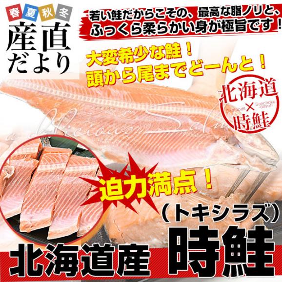 北海道より直送 北海道産 有頭時鮭フィレ 半身 720g前後 送料無料 サケ 鮭 サーモン トキシラズ02