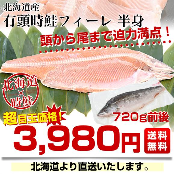 北海道より直送 北海道産 有頭時鮭フィレ 半身 720g前後 送料無料 サケ 鮭 サーモン トキシラズ03