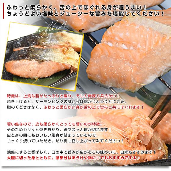 北海道より直送 北海道産 有頭時鮭フィレ 半身 720g前後 送料無料 サケ 鮭 サーモン トキシラズ05