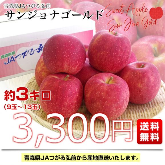 青森県より産地直送 JAつがる弘前 サンジョナゴールド 約3キロ (9玉から13玉) 送料無料 りんご リンゴ 林檎03