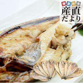 北海道産 干し開き真ほっけ 特大サイズ 10尾入り 合計約3.5キロ (1尾あたり約350g) 送料無料 ホッケ 魚介 干物