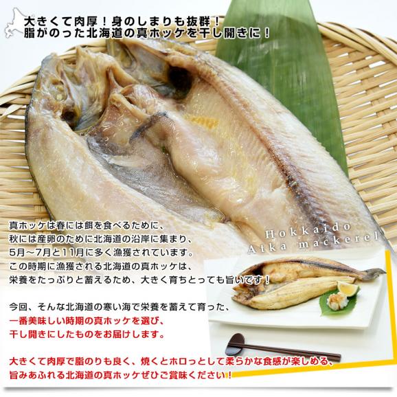 北海道産 干し開き真ほっけ 特大サイズ 10尾入り 合計約3.5キロ (1尾あたり約350g) 送料無料 ホッケ 魚介 干物04