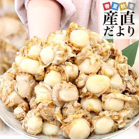 青森県陸奥湾産 ボイルベビーホタテ 1キロ MからSサイズ（100粒から150粒） 送料無料 帆立 ほたて 帆立貝