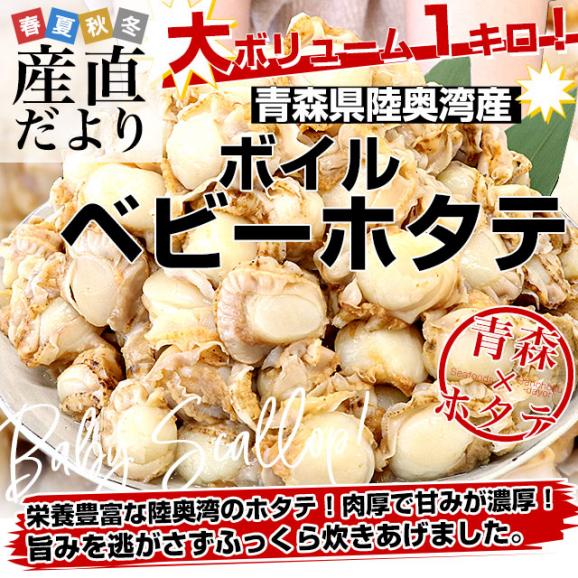 青森県陸奥湾産 ボイルベビーホタテ 1キロ MからSサイズ（100粒から150粒） 送料無料 帆立 ほたて 帆立貝02