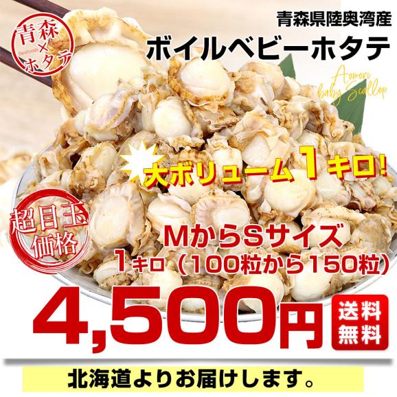 青森県陸奥湾産 ボイルベビーホタテ 1キロ MからSサイズ（100粒から150粒） 送料無料 帆立 ほたて 帆立貝03