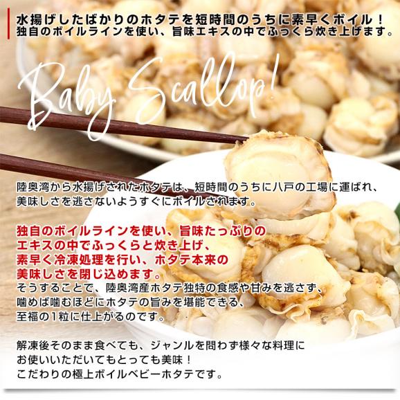 青森県陸奥湾産 ボイルベビーホタテ 1キロ MからSサイズ（100粒から150粒） 送料無料 帆立 ほたて 帆立貝05