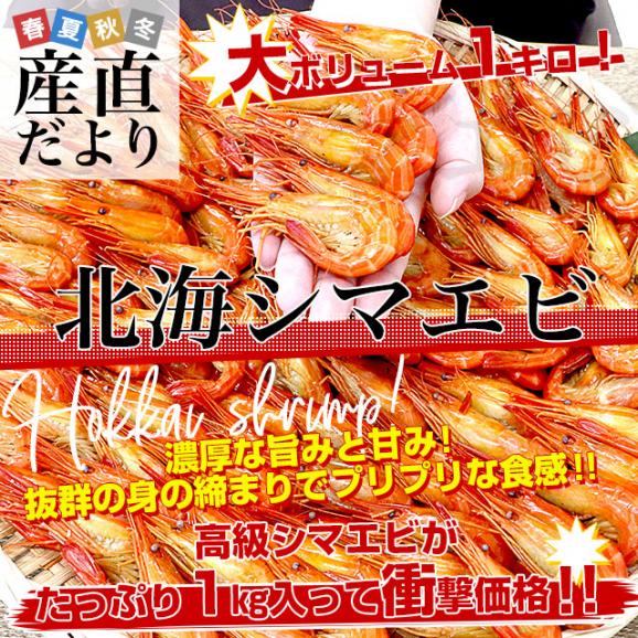 北海道より直送　シマエビＳサイズ 　1kg大ボリューム（100尾から150尾前後） 送料無料 しまえび 縞えび エビ02