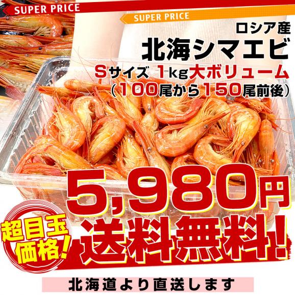 北海道より直送　シマエビＳサイズ 　1kg大ボリューム（100尾から150尾前後） 送料無料 しまえび 縞えび エビ03