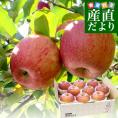 青森県産 JAつがる弘前 葉とらず太陽ふじりんご 等級：赤秀以上 3キロ(8玉から13玉)  林檎 リンゴ 送料無料