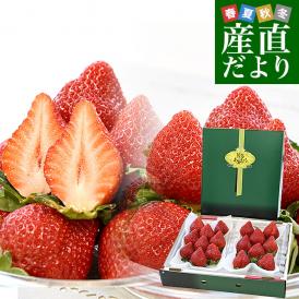 福岡県より産地直送 JAくるめ あまおう DX 約540g（270g×2入り）計12粒から24粒 送料無料 苺 いちご イチゴ from九州