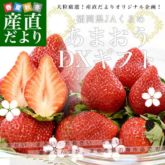 福岡県より産地直送 JAくるめ あまおう DX 約540g（270g×2入り）計12粒から24粒 送料無料 苺 いちご イチゴ from九州02