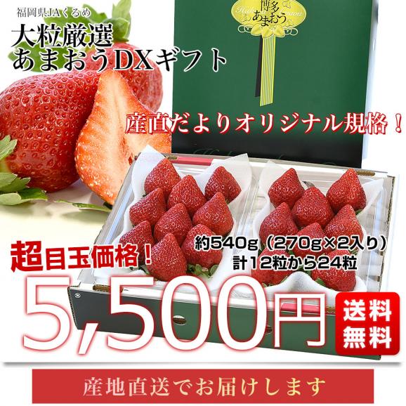 福岡県より産地直送 JAくるめ あまおう DX 約540g(270g×2入り)計12粒から24粒 送料無料 苺 いちご イチゴ from九州03