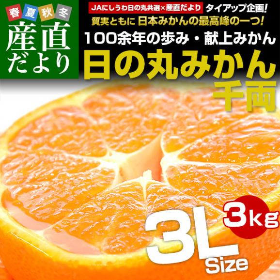 愛媛県産 JAにしうわ 日の丸みかん 千両 大玉3Lサイズ 約3キロ(15玉前後) 蜜柑 ミカン 送料無料 ひのまるみかん02