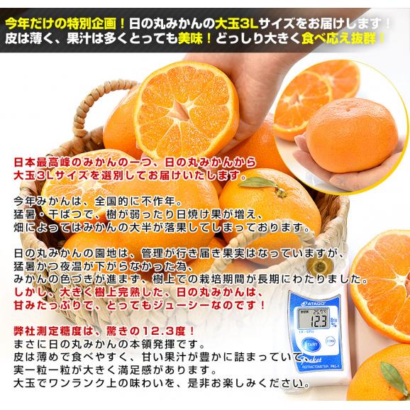 愛媛県産 JAにしうわ 日の丸みかん 千両 大玉3Lサイズ 約3キロ(15玉前後) 蜜柑 ミカン 送料無料 ひのまるみかん04