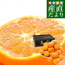 愛媛県産 JAにしうわ 日の丸みかん 千両 大玉3Lサイズ 約4.5キロ(23玉前後) 蜜柑 ミカン 送料無料 ひのまるみかん