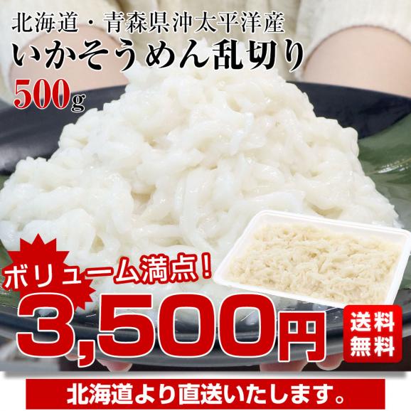 北海道より直送 北海道・青森県沖太平洋産 いかそうめん乱切り 500g 送料無料 イカ いか イカソーメン03