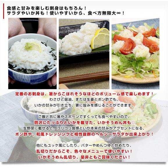 北海道より直送 北海道・青森県沖太平洋産 いかそうめん乱切り 500g 送料無料 イカ いか イカソーメン05