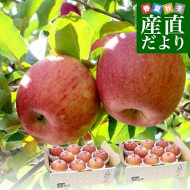 青森県産 JAつがる弘前 葉とらず太陽ふじりんご 等級：赤秀以上3キロ×2箱(8玉から13玉×2箱)  林檎 リンゴ 送料無料