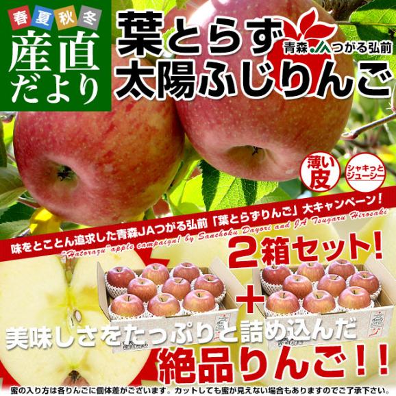 青森県産 JAつがる弘前 葉とらず太陽ふじりんご 等級：赤秀以上3キロ×2箱(8玉から13玉×2箱)  林檎 リンゴ 送料無料02