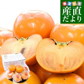 福岡県 JAにじ 富有柿 貯蔵品 秀品 約2.5キロ 2LからLサイズ （9玉から11玉） 送料無料 かき カキ 甘柿