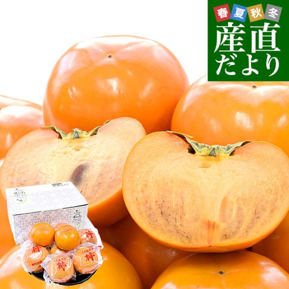 最新な 福岡県 JAにじ 富有柿 貯蔵品 秀品 約2.5キロ 2LからLサイズ （9 果物