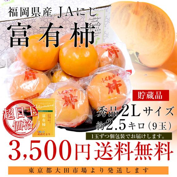 福岡県 JAにじ 富有柿 貯蔵品 秀品 約2.5キロ 2Lサイズ（9玉） 送料無料 かき カキ 甘柿03