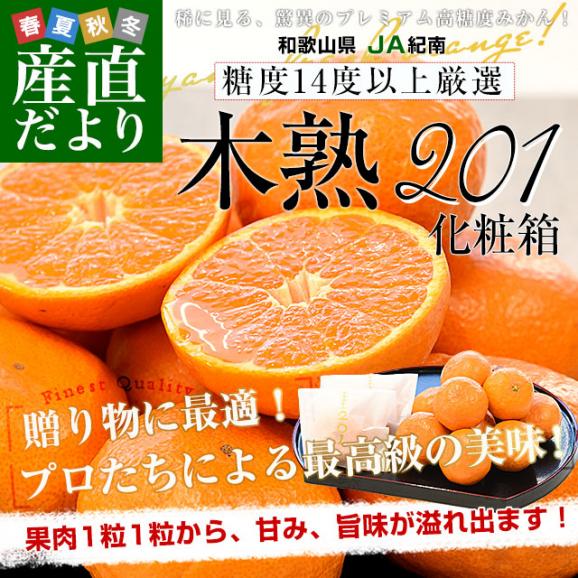 和歌山県 JA紀南 高糖度みかん 木熟201 糖度14度以上 化粧箱 約1.2キロ MからSサイズ (12玉から15玉入) 送料無料 蜜柑 ミカン 柑橘02