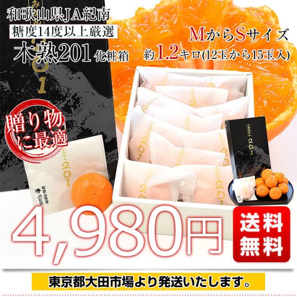 和歌山県 JA紀南 高糖度みかん 木熟201 糖度14度以上 化粧箱 約1.2キロ MからSサイズ (12玉から15玉入) 送料無料 蜜柑 ミカン 柑橘03