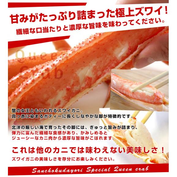 北海道より直送 生ズワイガニ 特大 4Lサイズ 棒ポーション 500g×2個セット（20本×2個　計40本入り） 送料無料 ズワイ カニ かに 蟹 ギフト05
