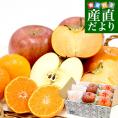 冬の豪華フルーツ3種セット 高糖度みかん「木熟201」約500g（5玉から6玉）＆「葉とらず太陽ふじ」秀品2玉＆「貯蔵富有柿」秀品3玉 送料無料 詰め合わせ ギフト