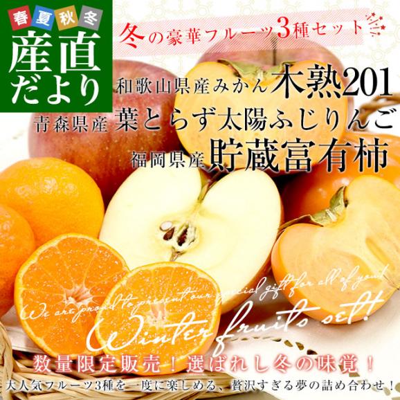 冬の豪華フルーツ3種セット 高糖度みかん「木熟201」約500g（5玉から6玉）＆「葉とらず太陽ふじ」秀品2玉＆「貯蔵富有柿」秀品3玉 送料無料 詰め合わせ ギフト02
