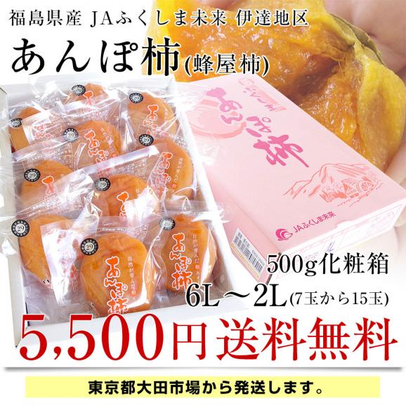 緊急スポット！　福島県産　JAふくしま未来　あんぽ柿（蜂屋柿） 6Lから2Lサイズ(7玉から15玉入り)　化粧箱入り　500g03
