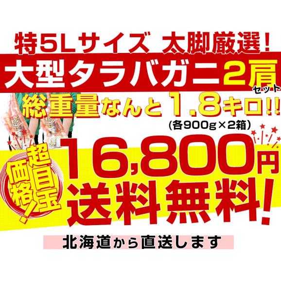 北海道より直送 北海道加工 大型タラバガニ 極太カニ脚 900ｇ×2個セット（計1.8キロ） ロシア産 送料無料 カニ かに足 蟹足03