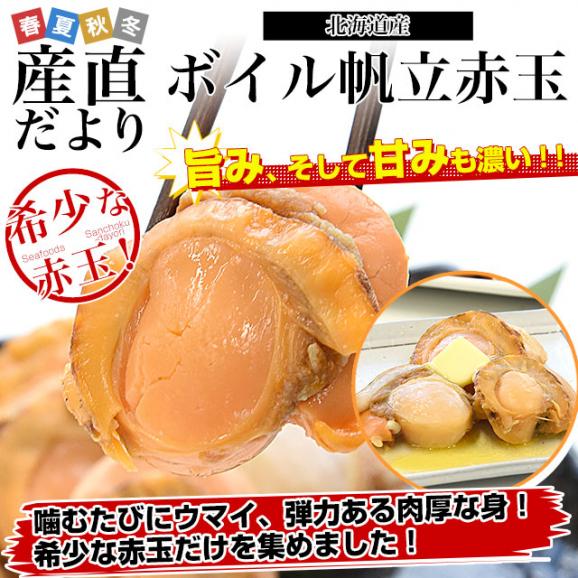 北海道より直送 北海道産 ボイル帆立赤玉 800g（サイズ不揃い） 送料無料 ホタテ ほたて 貝 貝柱02