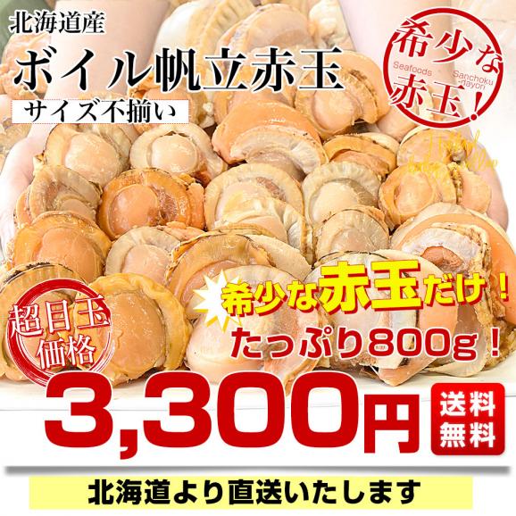 北海道より直送 北海道産 ボイル帆立赤玉 800g（サイズ不揃い） 送料無料 ホタテ ほたて 貝 貝柱03