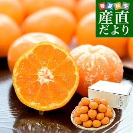 和歌山県 JA紀南 越冬木熟みかん「紀州一番」LからSサイズ 約2.5キロ(20玉から30玉前後) 送料無料 みかん ミカン 柑橘 市場発送