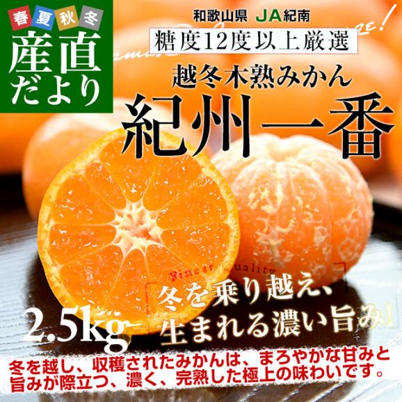 和歌山県 JA紀南 越冬木熟みかん「紀州一番」LからSサイズ 約2.5キロ(20玉から30玉前後) 送料無料 みかん ミカン 柑橘 市場発送02