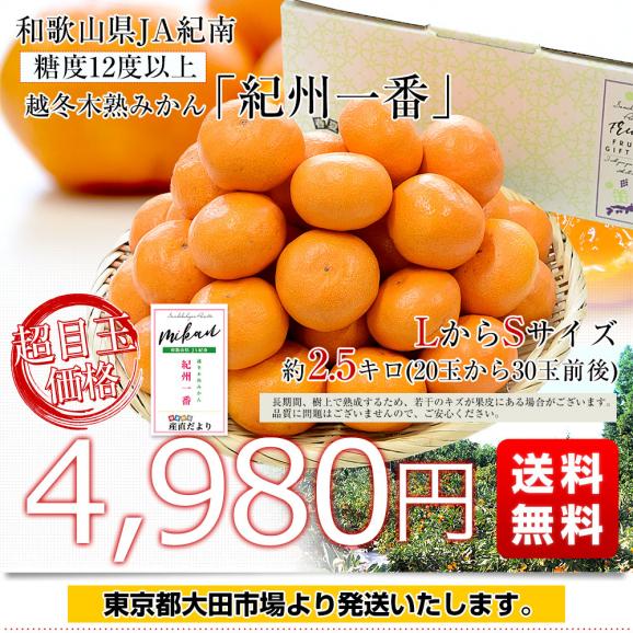 和歌山県 JA紀南 越冬木熟みかん「紀州一番」LからSサイズ 約2.5キロ(20玉から30玉前後) 送料無料 みかん ミカン 柑橘 市場発送03