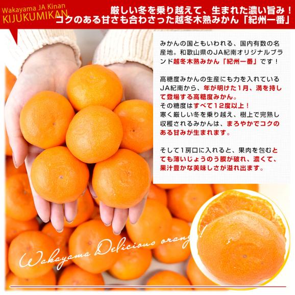 和歌山県 JA紀南 越冬木熟みかん「紀州一番」LからSサイズ 約2.5キロ(20玉から30玉前後) 送料無料 みかん ミカン 柑橘 市場発送04