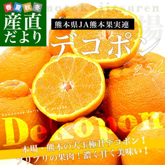熊本県産 JA熊本果実連 デコポン 2.5キロ 4Lから2Lサイズ (7玉から10玉) 送料無料 でこぽん デコぽん 柑橘02