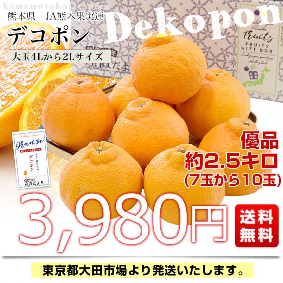 熊本県産 JA熊本果実連 デコポン 優品 2.5キロ 4Lから2Lサイズ (7玉から10玉) 送料無料 でこぽん デコぽん 柑橘03